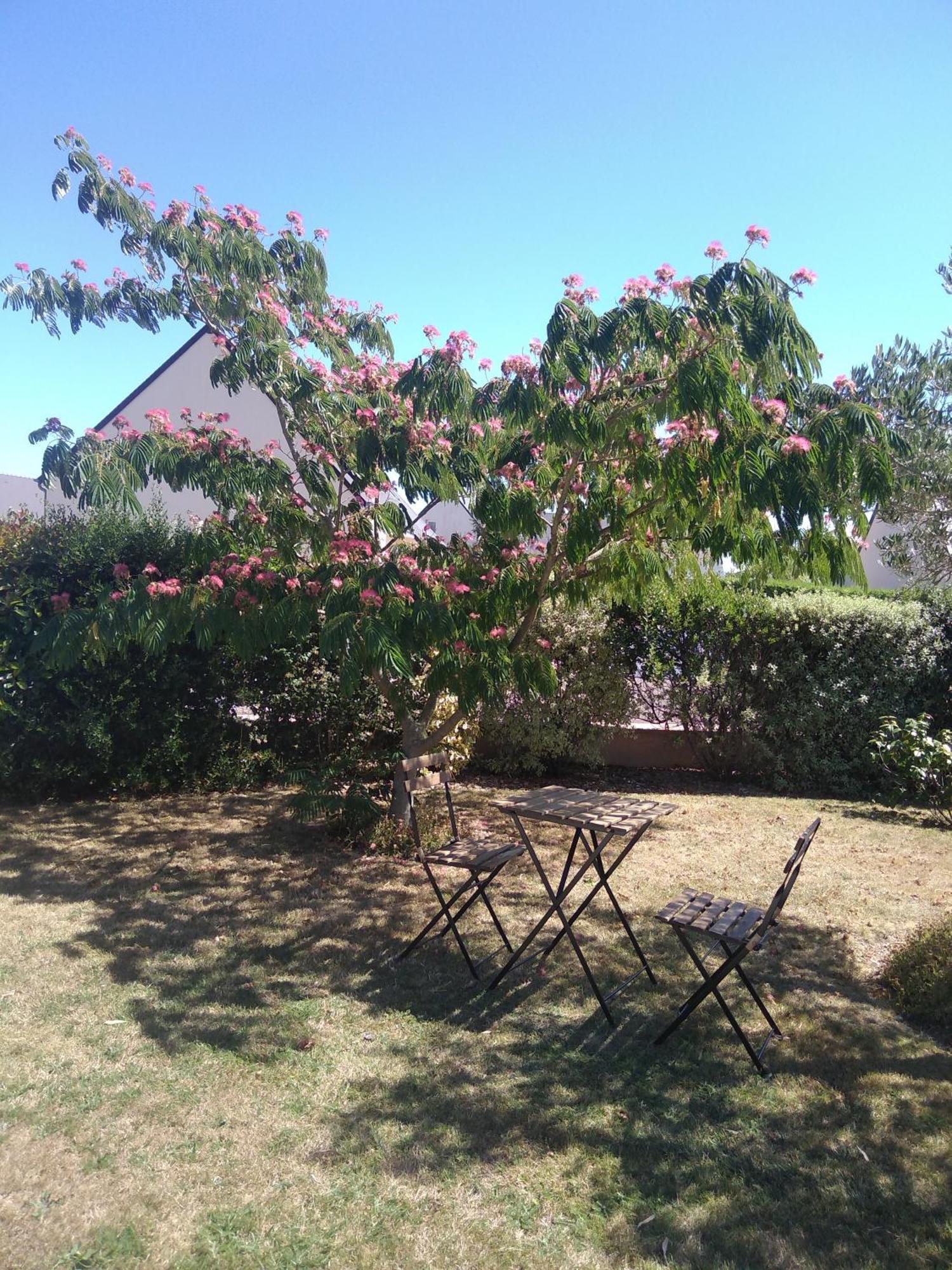 Chambre Agreable Au Calme Saint-Hilaire-Petitville Zewnętrze zdjęcie